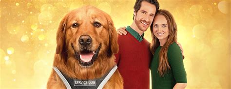 Oct 19, 2023 · Watch a preview of "My Christmas Guide" starring Amber Marshall and Ben Mehl. Premiering November 2 8/7c on Hallmark Movies and Mysteries. 
